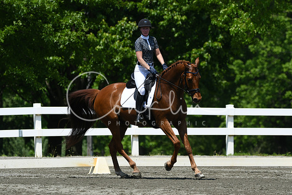 HSM_2067
