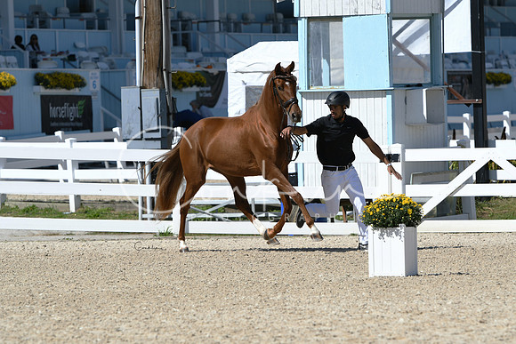 HSM_4540-1