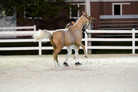 HSM_5878