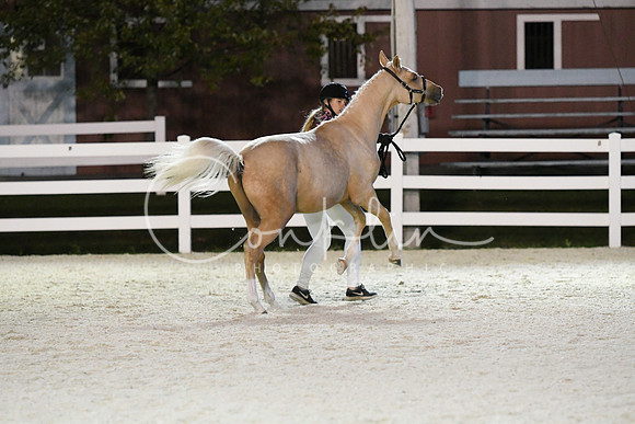 HSM_5878