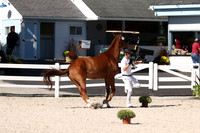RJC30996