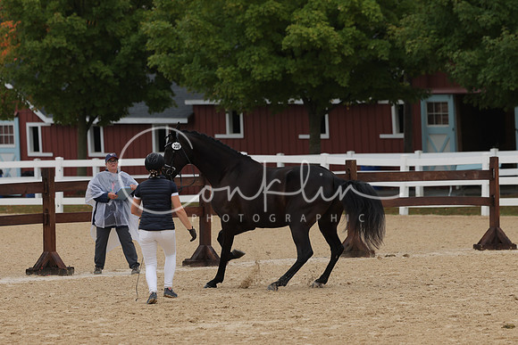 HLK_3990
