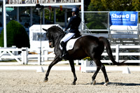 HSM_3408-1