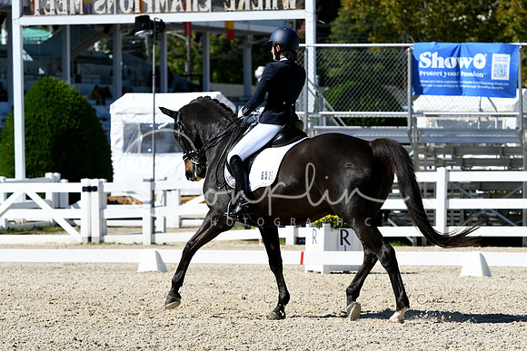 HSM_3408-1