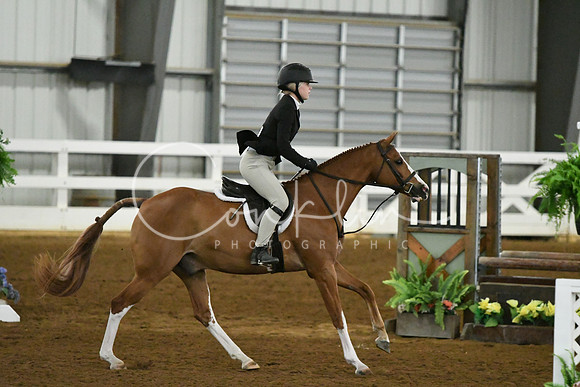 HSM_5931