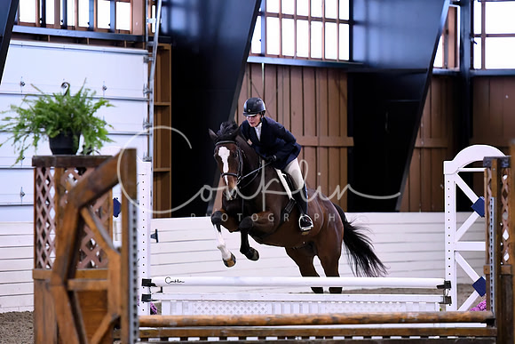 HSM_0738-1