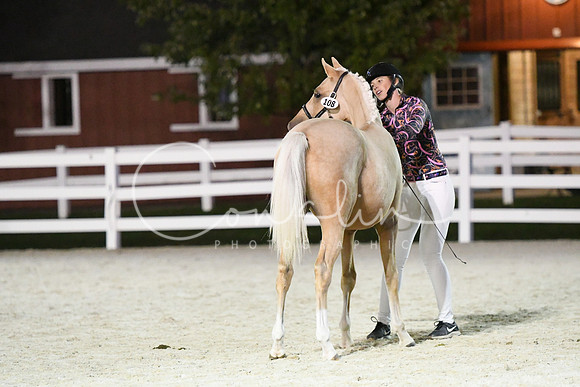 HSM_5884