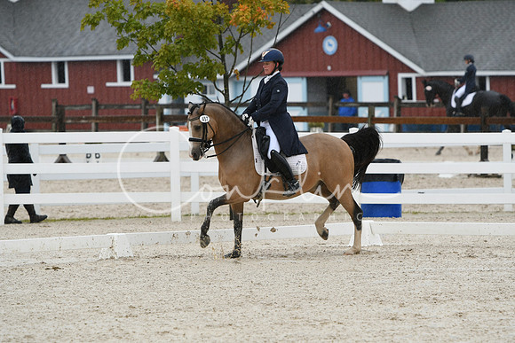 HSM_0241
