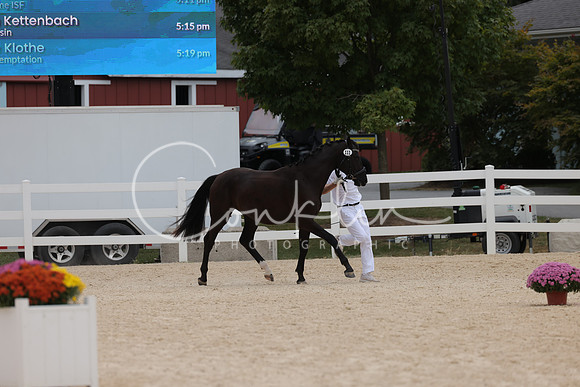 HLK_2199