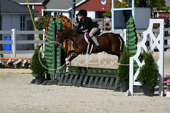 HSM_3905
