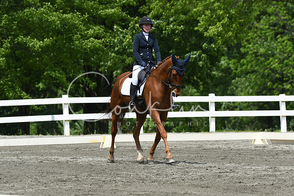 HSM_0540
