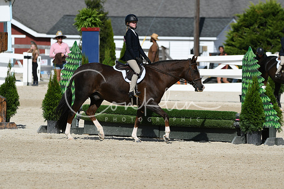 HSM_3879
