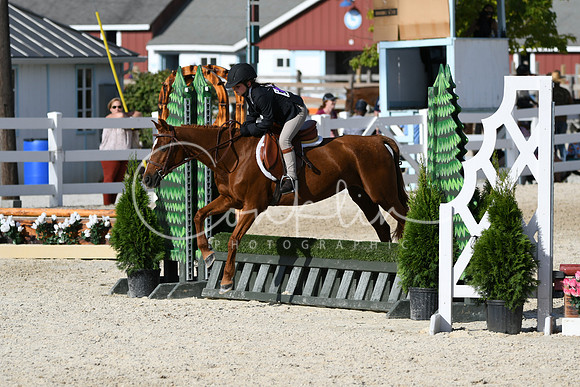 HSM_4183