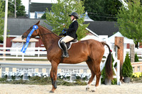 HSM_0476