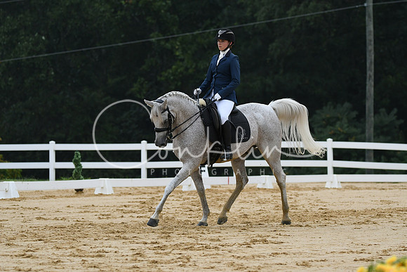 HSM_9490