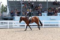 00 Modified Hunter Under Saddle