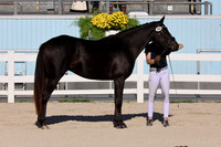 164     Fiorella CF