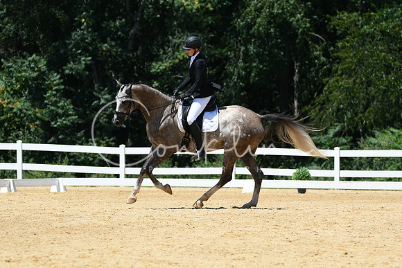 HSM_1462