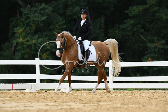 HSM_0262