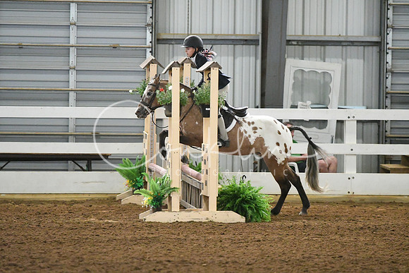 HSM_5008