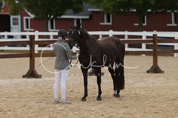 HLK_3365