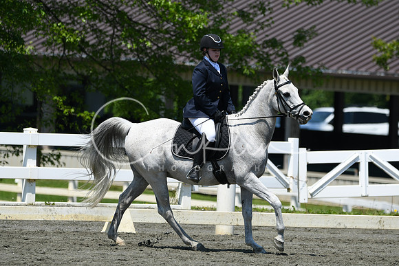 HSM_1519
