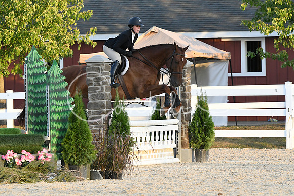 HSM_0329