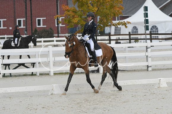 HSM_0763