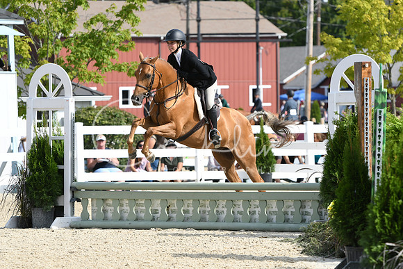 HSM_6040