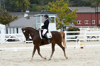 HSM_0532