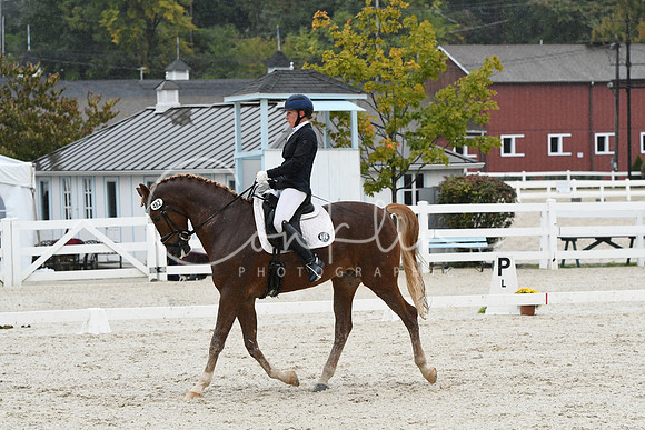 HSM_0532