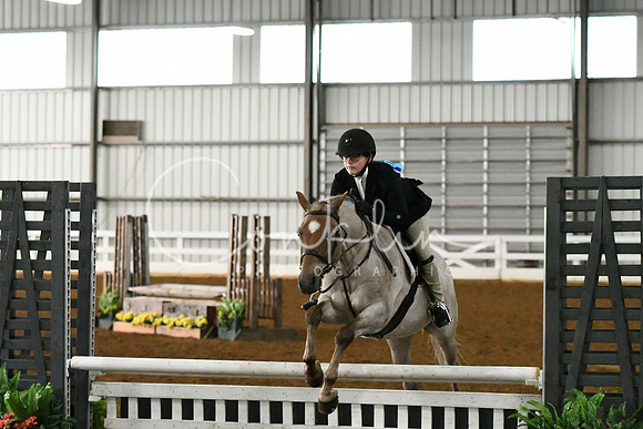 HSM_4517