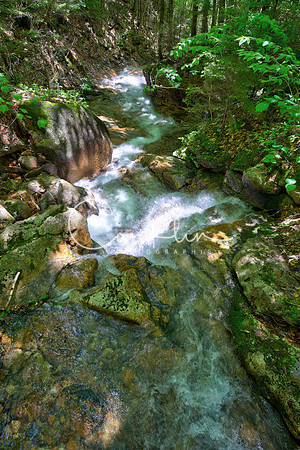 RJC12957_58_59_60_61_Realistic