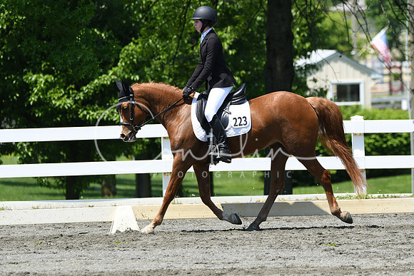 HSM_1558