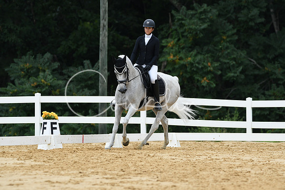 HSM_0341