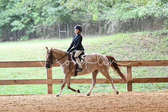 HSM_5333