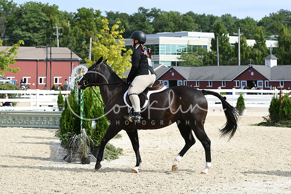 HSM_6213