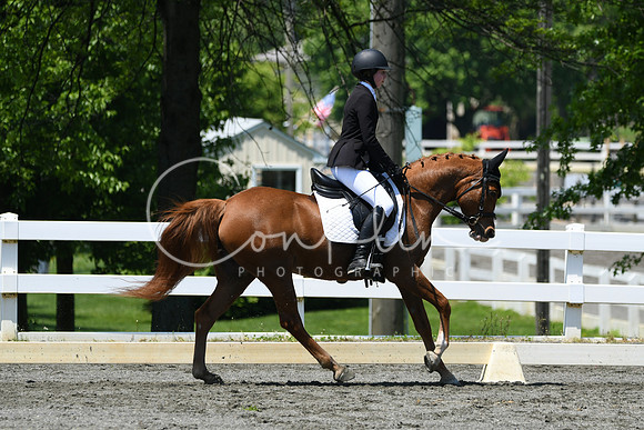 HSM_1568