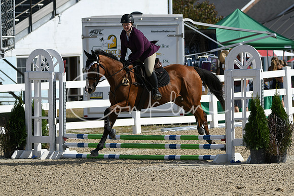 HSM_1682