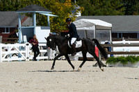 HSM_4797