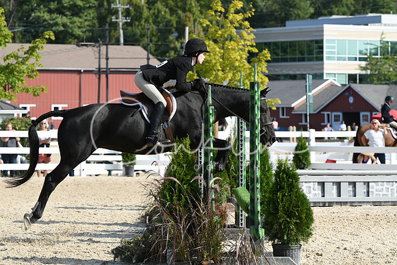 HSM_8182