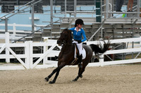 HSM_3385