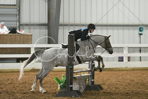 HSM_4519