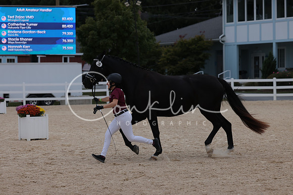 HLK_2095