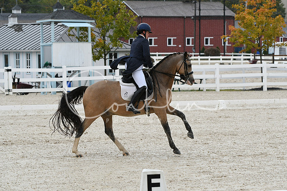 HSM_0268