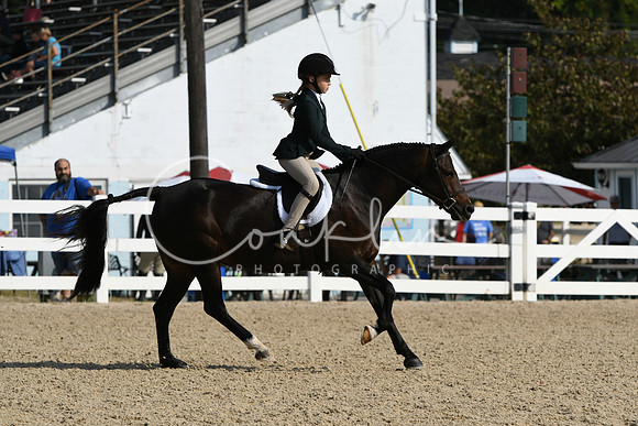 HSM_5937