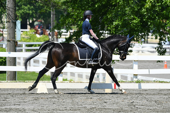 HSM_1463