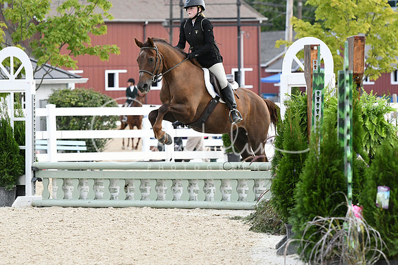 HSM_5335-1