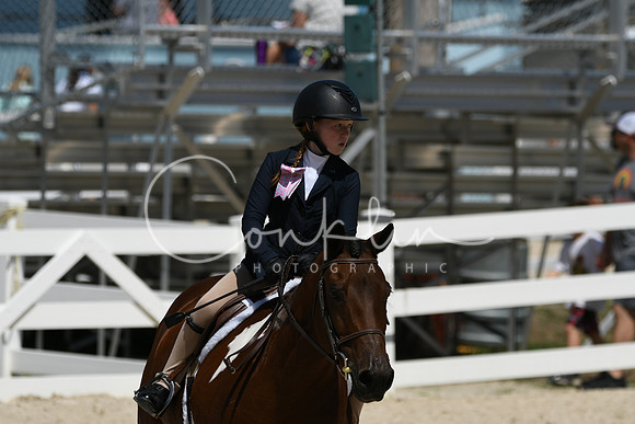 HSM_2950