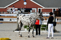 HSM_5486